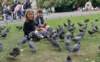 irelandpigeons_small.jpg